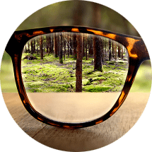 WS Augen Vortag rund